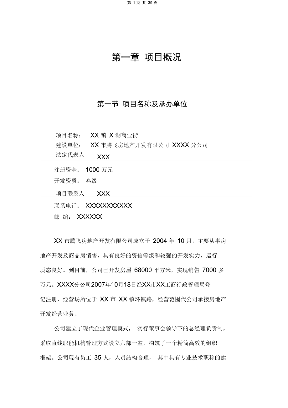 xx镇商业街项目可行性研究报告.doc_第1页