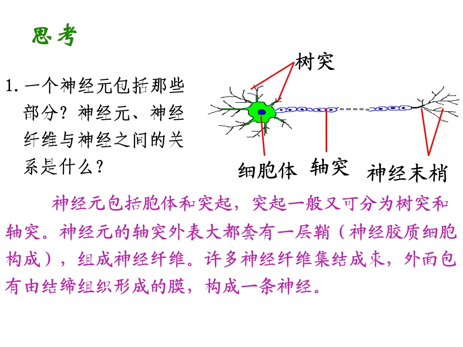 人教版教学课件第2章第1节神经调节.复习ppt.ppt_第3页