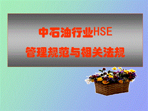 中石油监理工程师取证培训课件HSE法规.ppt