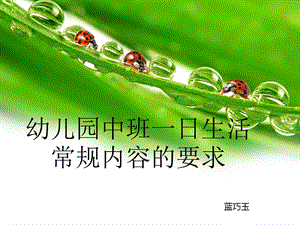 中班教师一日常规培训.ppt