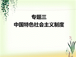 专题三中国特色社会主义制度.ppt