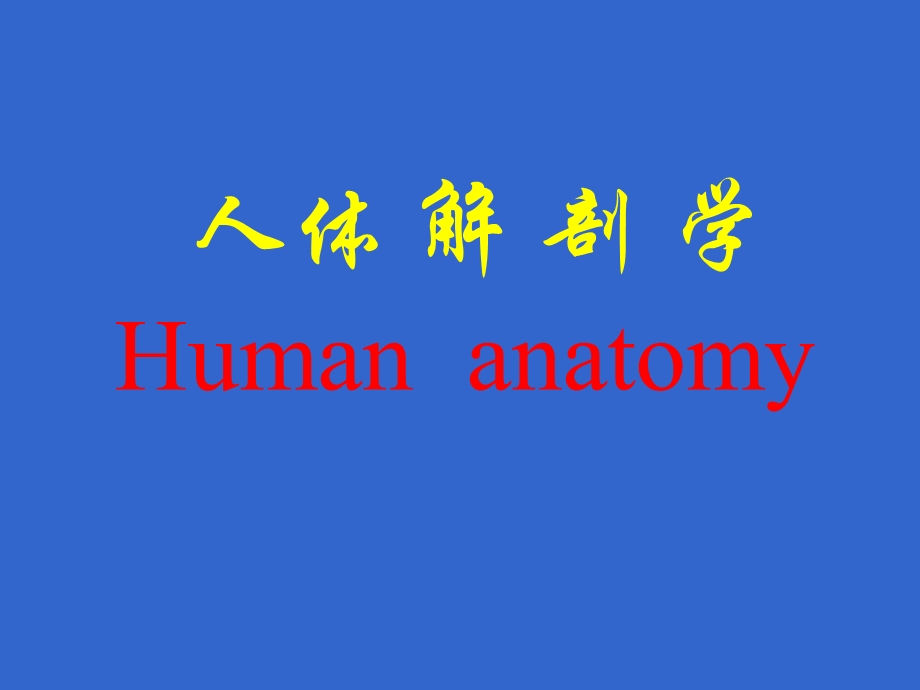 人体解剖学Humananatomy.ppt_第1页