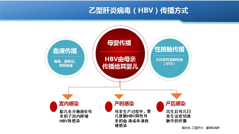 乙肝感染孕妇管理和抗病毒治疗策略.ppt_第3页