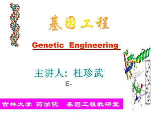 体外转录与翻译.ppt