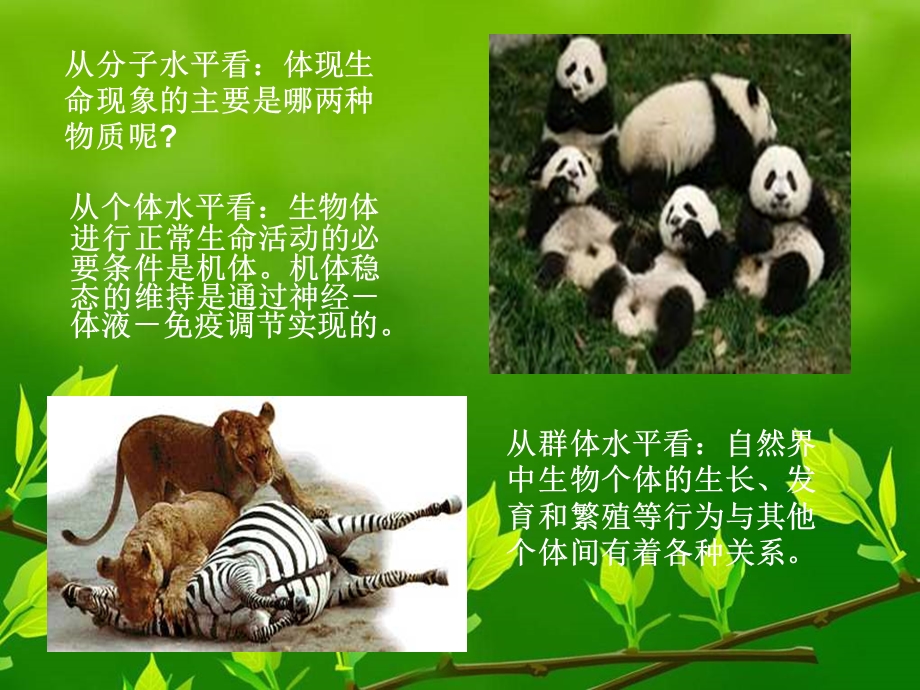 优质课比赛课件种群的特征.ppt_第2页