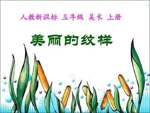 人教版美术五年级上册《美丽的纹样》PPT课件.ppt