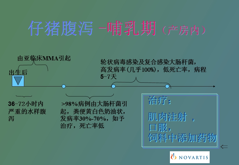 仔猪腹泻的原因与防治措施.ppt_第2页