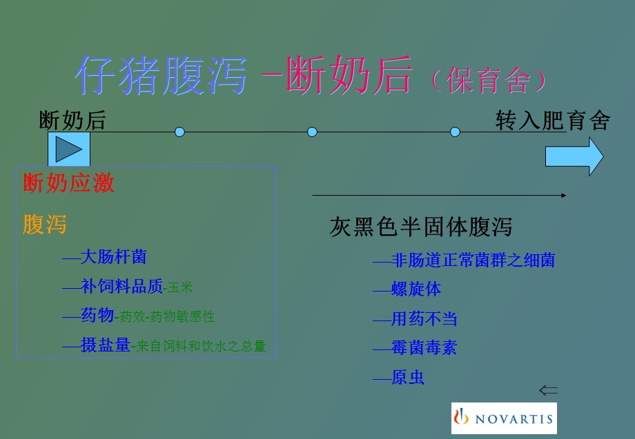 仔猪腹泻的原因与防治措施.ppt_第3页