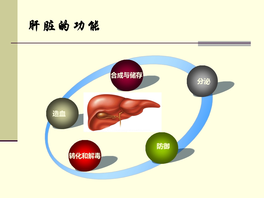 人工肝治疗进课件.ppt_第2页