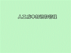 人力资源-人工成本知识和管理.ppt