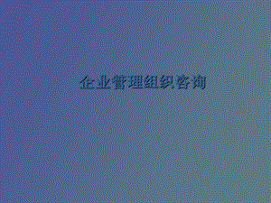 企业管理组织咨询.ppt