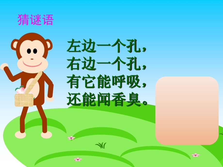 中班安全活动保护鼻子.ppt_第2页