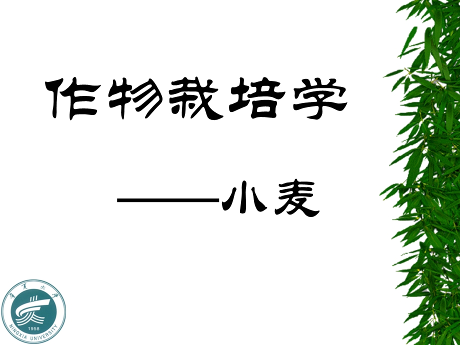 作物栽培学小麦.ppt_第1页