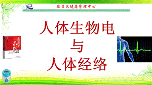 人体生物电与人体经络.ppt