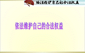 依法维护自己的合法权益.ppt