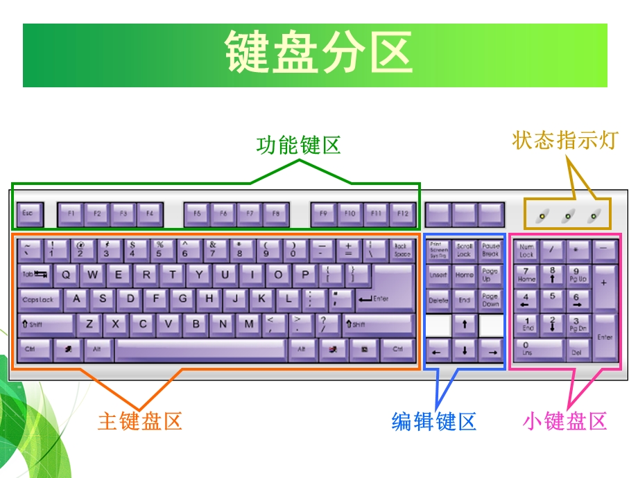 信息技术-键盘的使用ppt.ppt_第2页