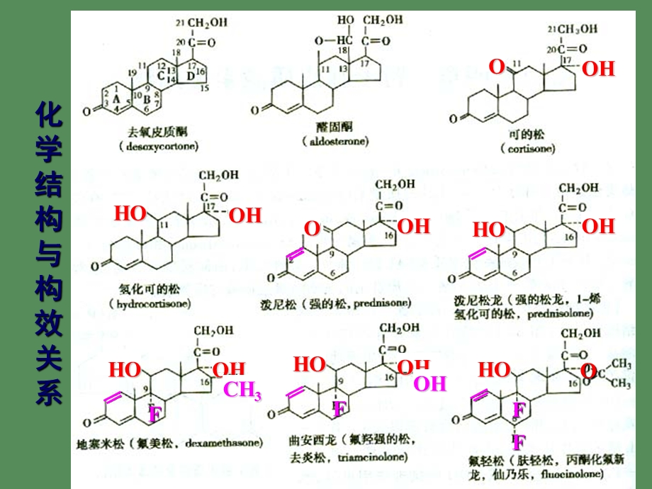 作用于内脏系统药物.ppt_第3页