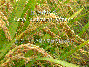 作物栽培学CropCultivationS.ppt