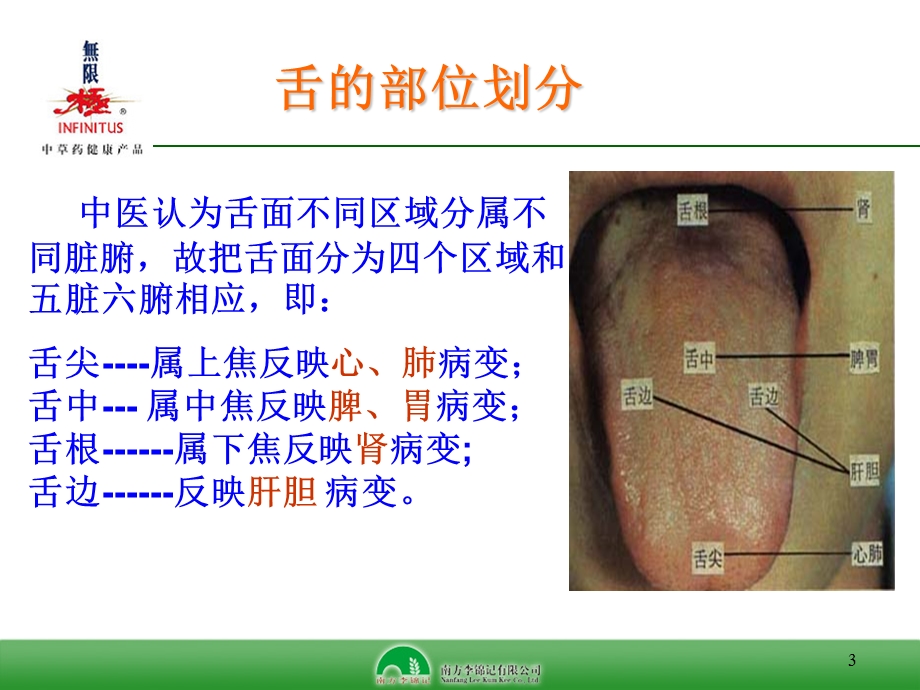 中医舌诊PPT课件.ppt_第3页