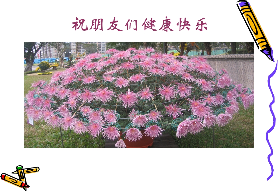 中医药治病的特色与优势.ppt_第2页