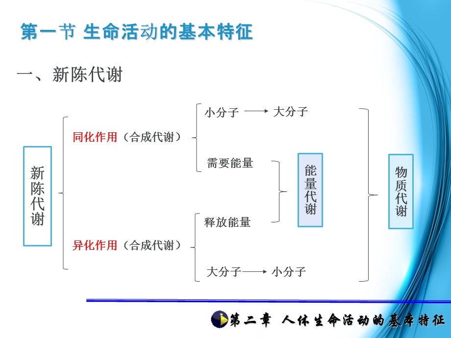 人体生命活动的基本特征.ppt_第3页