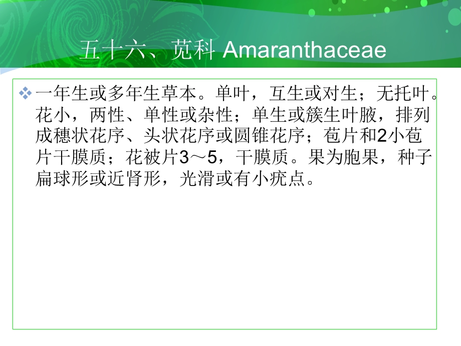 五十六、苋科Amaranthaceae.ppt_第1页