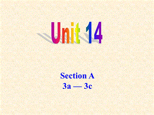 九年级英语unit14,SectionA3a-3c课件.ppt