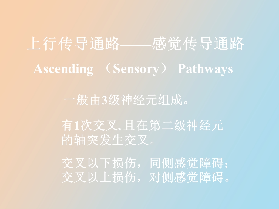 临床专业传导通路.ppt_第3页