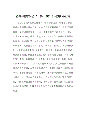 基层团委书记“三抓三促”行动学习心得.docx