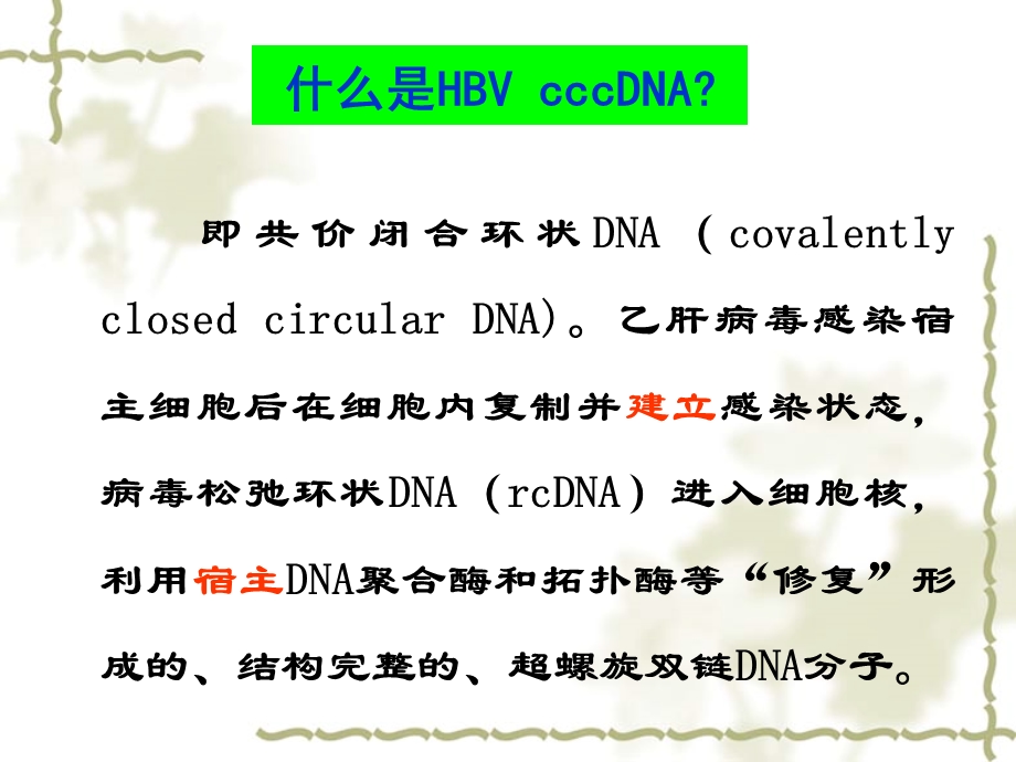 乙型肝炎病毒cccDNA检测方法与应用价值.ppt_第3页