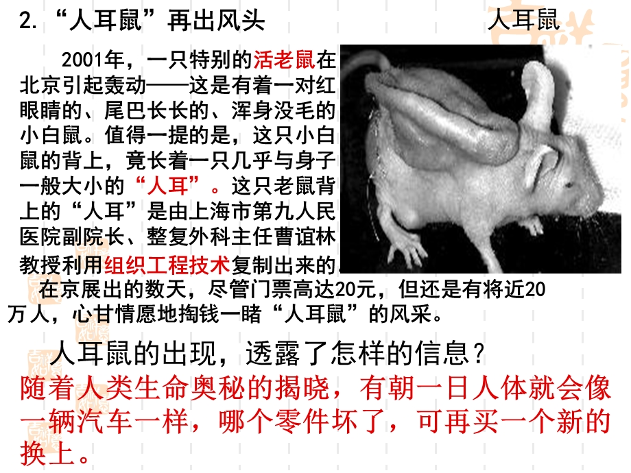 人教版教学课件动物细胞培养和核移植技术.ppt_第2页