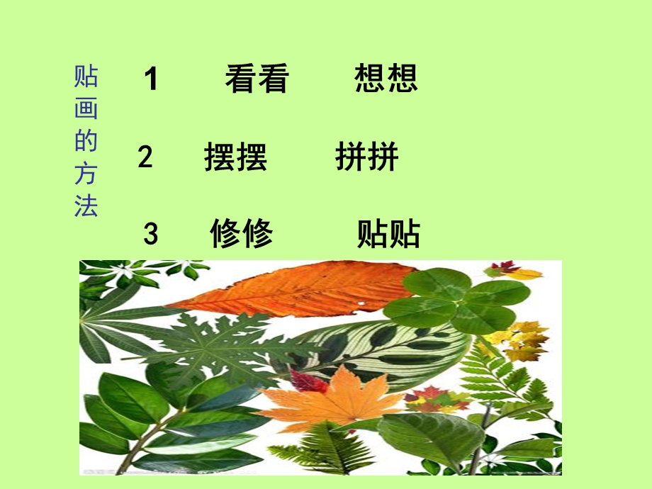 人美版二年级树叶贴画.ppt_第3页