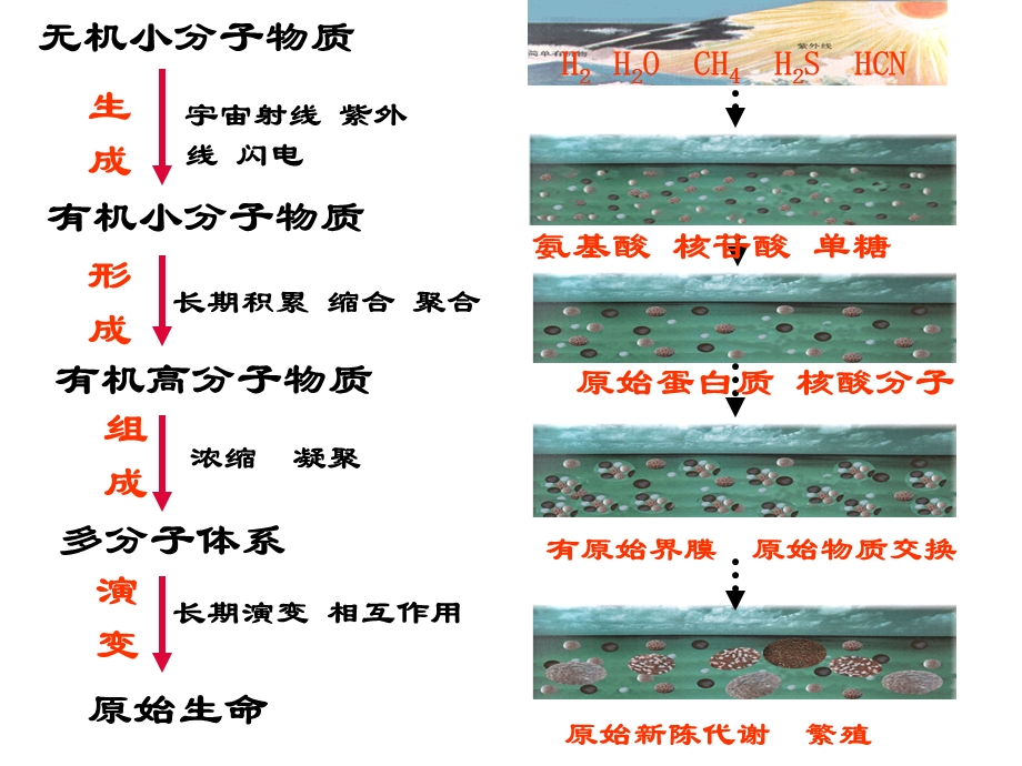 人教版教学课件第一节现代生物进化理论的由来课件.ppt_第3页