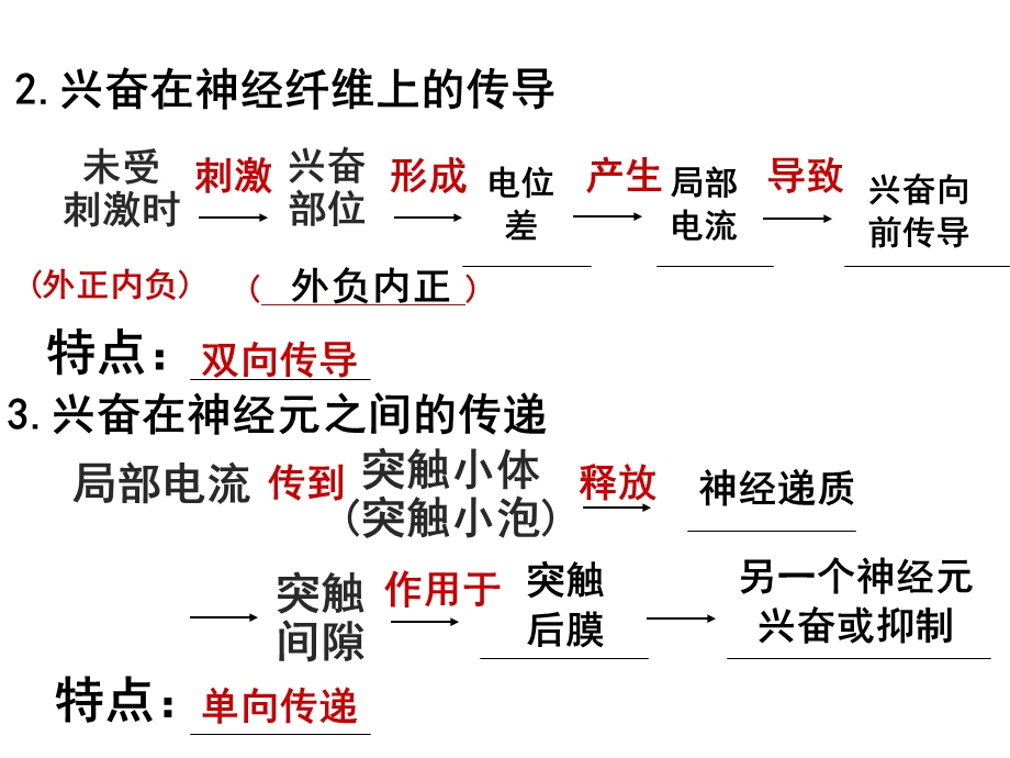 人和动物生命活动的调节神经调节.ppt_第3页