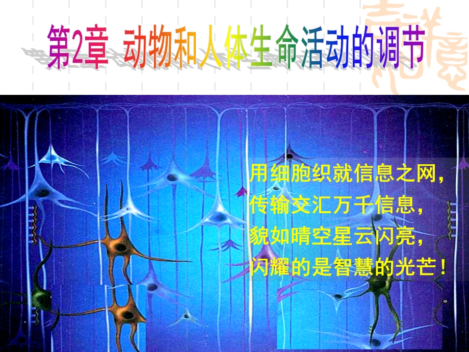 人教版教学课件第一节神经调节.ppt_第1页