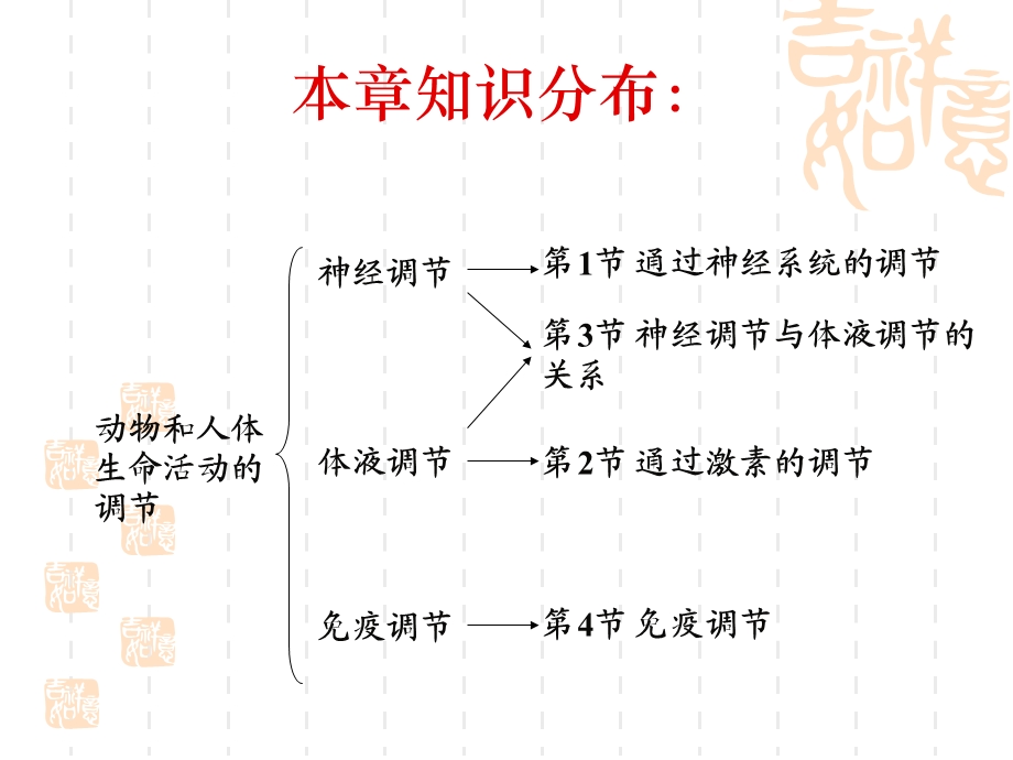 人教版教学课件第一节神经调节.ppt_第3页