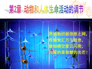 人教版教学课件第一节神经调节.ppt