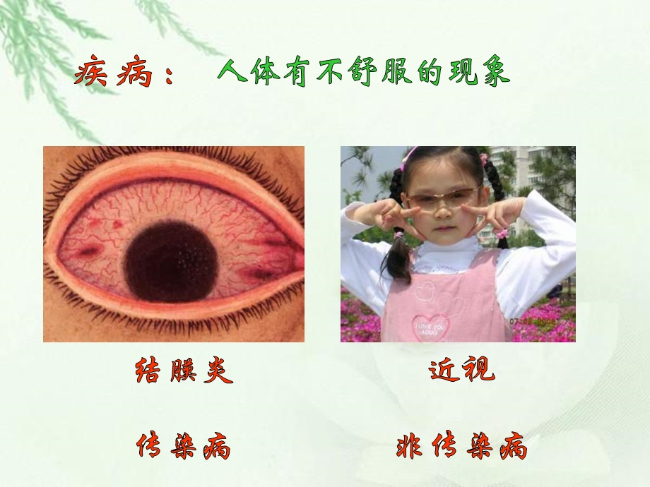 主题班会常见传染病的预防.ppt_第2页