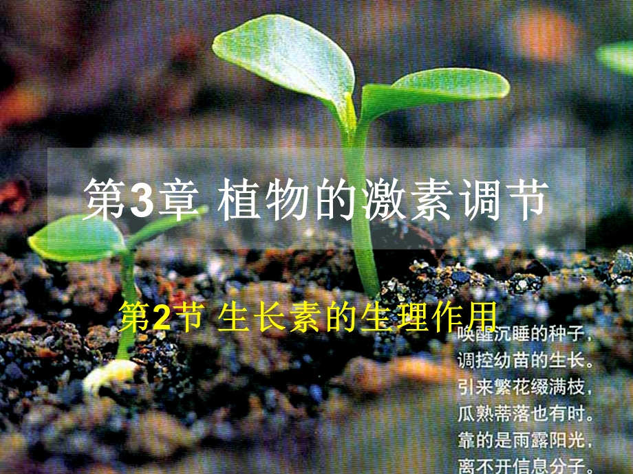 人教版教学课件植物生长激素的生理作用.ppt_第1页