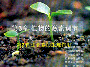 人教版教学课件植物生长激素的生理作用.ppt