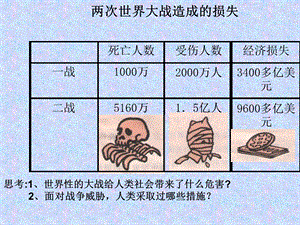 两次世界大战造成的损失.ppt