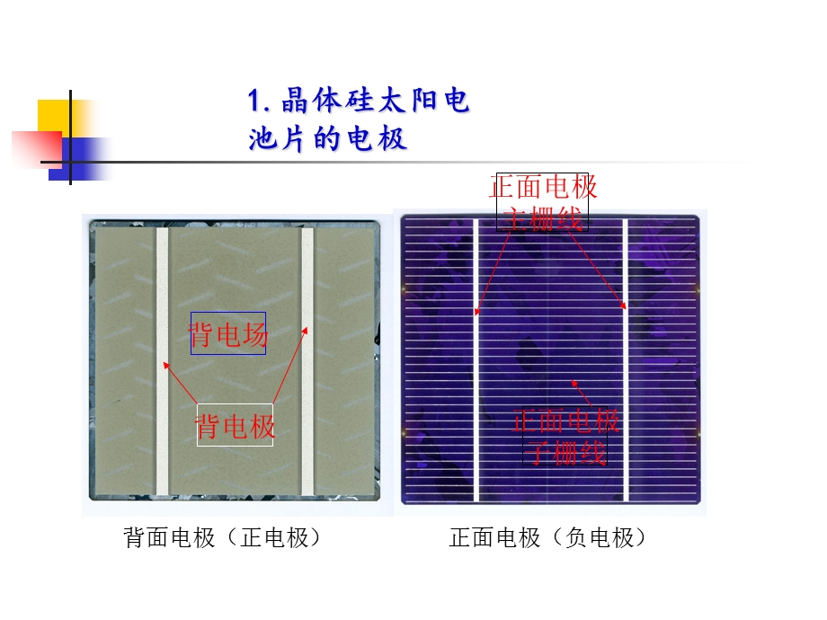 丝网印刷电极生产.ppt_第2页