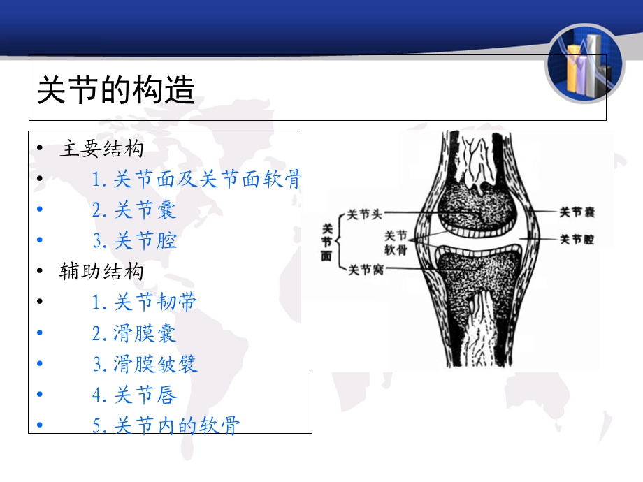 人体各关节概述.ppt_第3页