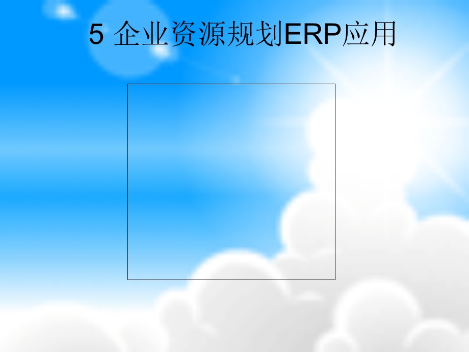 企业资源规划ERP应用.ppt_第2页