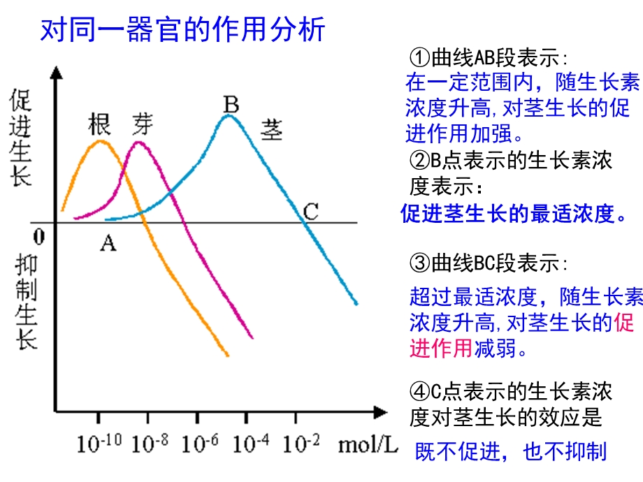 人教版教学课件3-2生长素的生理作用.ppt_第3页