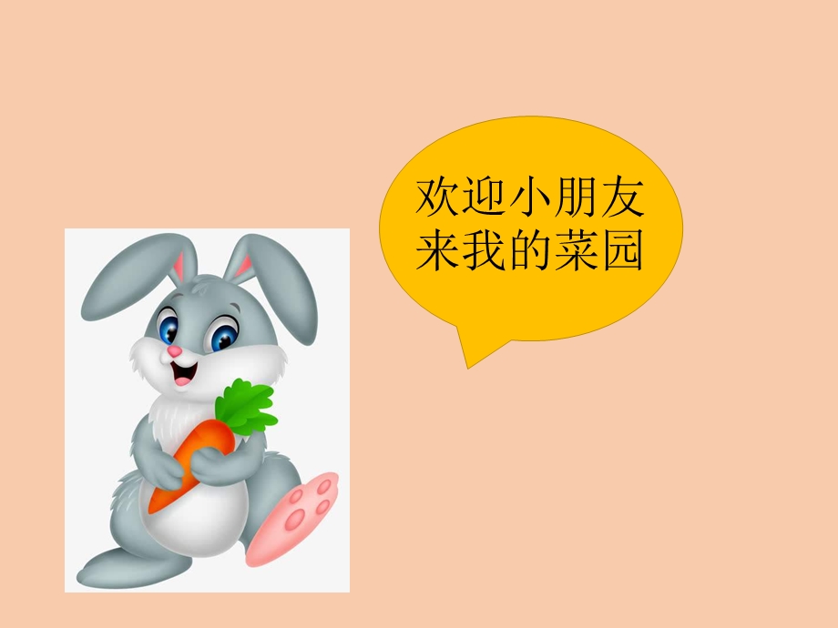 中班《数物结合》.ppt_第2页