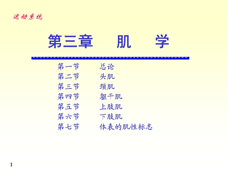 人体系统解剖教程4-运动系统-肌学.ppt_第1页