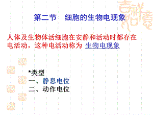 人体生理学细胞电活动-教学课件细胞电活动.ppt