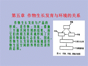 作物生长发育与环境.ppt