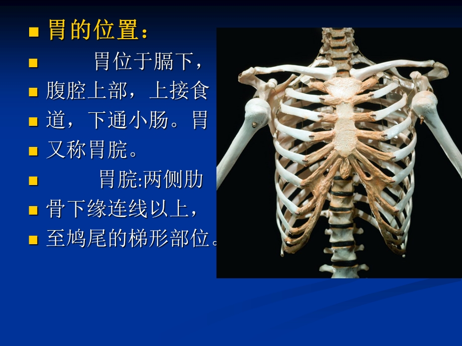 中医内科学胃痛.ppt_第3页